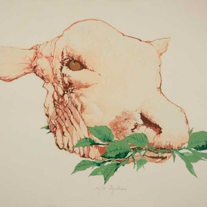 Saroni-123