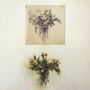 saroni-04