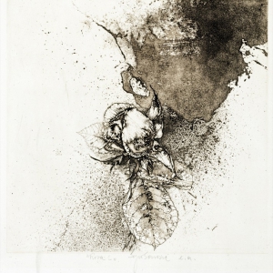 saroni-23
