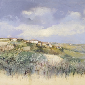 saroni-56