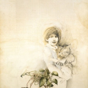 saroni-93