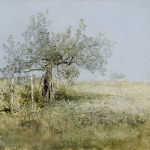 saroni-01
