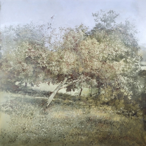 saroni-101