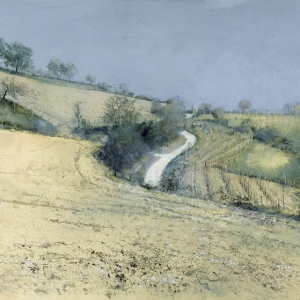 saroni-104
