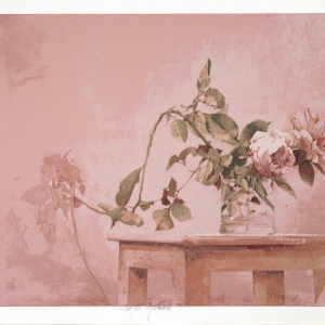 saroni-13