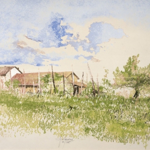 saroni-15