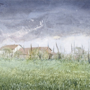 saroni-27