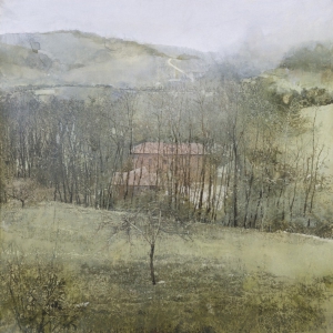 saroni-82