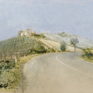 saroni-95
